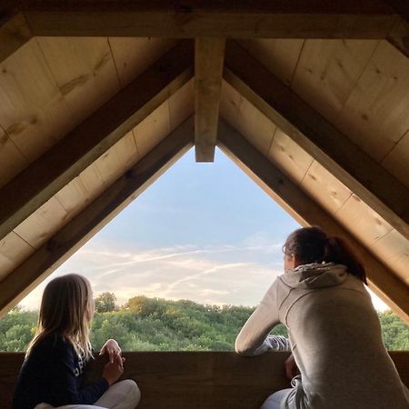 Cabane Bivouac Avec Echelle A L'Ombre Des Chenes Idrac-Respailles Exteriör bild