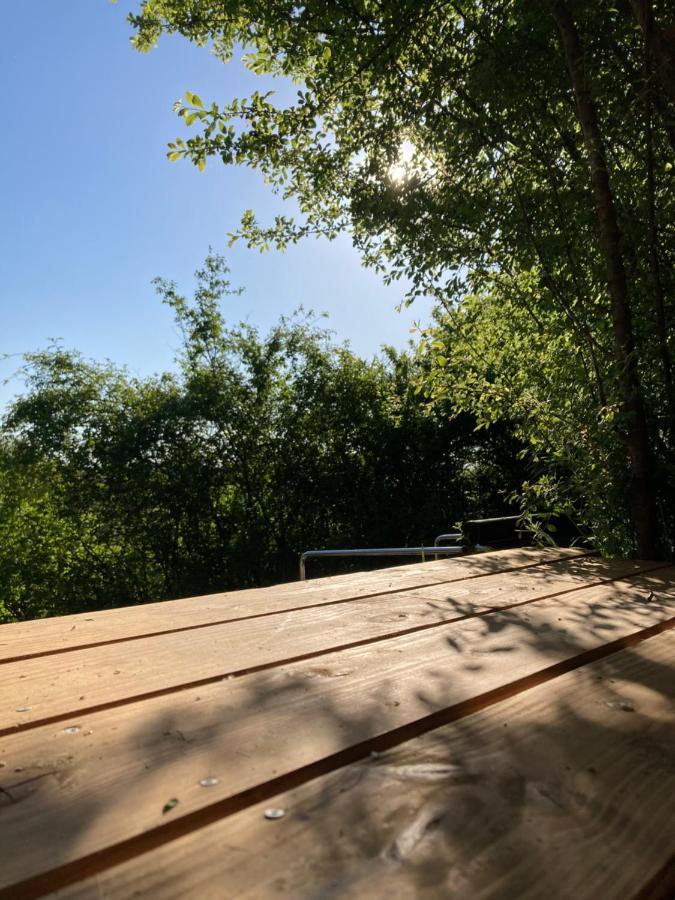 Cabane Bivouac Avec Echelle A L'Ombre Des Chenes Idrac-Respailles Exteriör bild